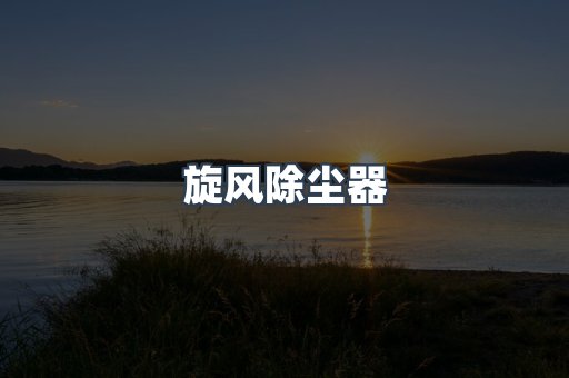 旋风除尘器